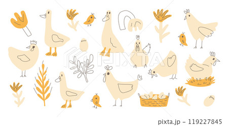 Set of geese and chickens with eggs and flowers. Vector hand drawn farm elements. Domestic birds and farmyard hand drawn flat collection illustration isolated on white background. Set of geese and chickens with eggs and flowers. Vector hand drawn farm elements. Domestic birds and farmyard hand drawn flat collection illustration isolated on white background. 119227845