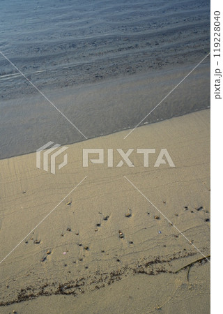 夏の朝凪の海にて朝日に照らされる天橋立の砂浜 夏の朝凪の海にて朝日に照らされる天橋立の砂浜 119228040