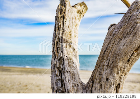 Sandy beach landscape 119228199