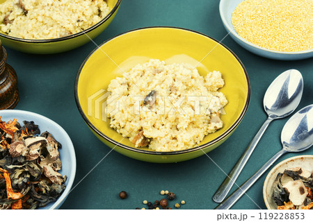 Millet porridge with mushrooms. 119228853