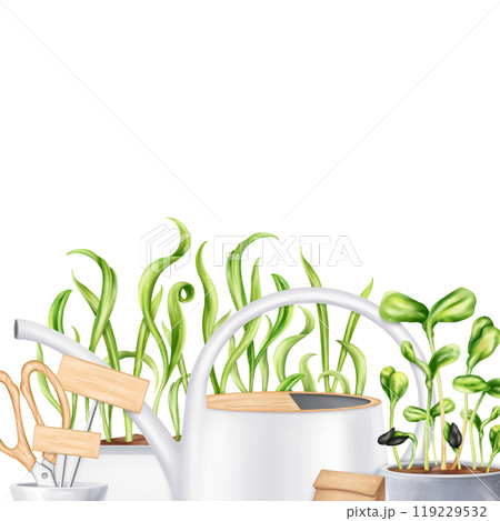 A composition of tools: watering can, rake, shovel, sprayer, seeds, boxes of greens. Garden equipment. Agriculture, cultivation of plants and flowers. Frames for decoration, boards for design 119229532
