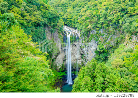 夏の福貴野の滝 大分県宇佐市 夏の福貴野の滝 大分県宇佐市 119229799