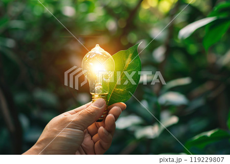 Hand holding a light bulb against a green leaf, representing sustainable development, Generated AI Hand holding a light bulb against a green leaf, representing sustainable development, Generated AI 119229807