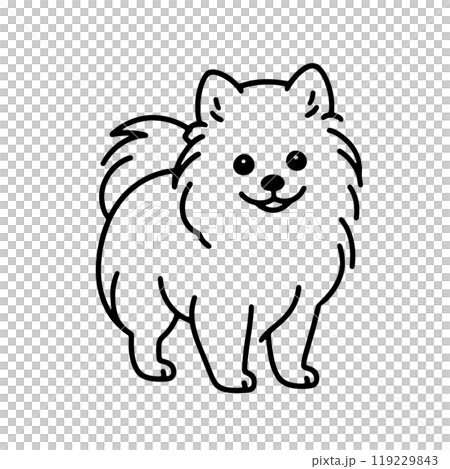 一隻可愛的博美犬小狗看著你的簡單線條畫插圖,透明背景上的切口 一隻可愛的博美犬小狗看著你的簡單線條畫插圖,透明背景上的切口 119229843