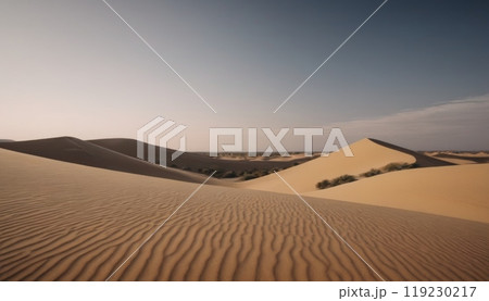 sand dunes beautiful desert landscape 119230217