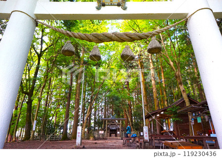 宝登山　奥宮　鳥居　山頂　寳登山神社　宝登山神社 119230436