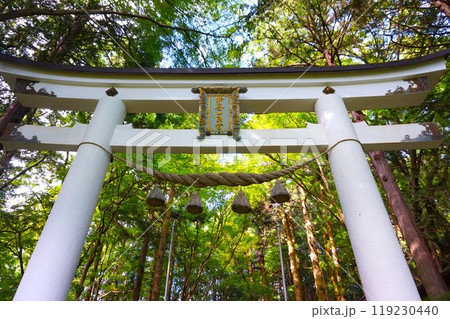 宝登山 奥宮 鳥居 山頂 寳登山神社 宝登山神社 宝登山 奥宮 鳥居 山頂 寳登山神社 宝登山神社 119230440