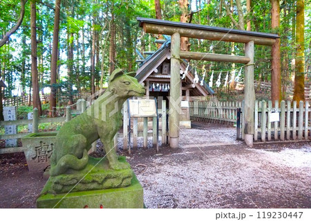 宝登山　奥宮　オオカミ　境内　山頂　寳登山神社　宝登山神社 119230447