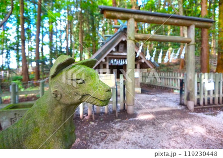 宝登山　奥宮　オオカミ　境内　山頂　寳登山神社　宝登山神社 119230448