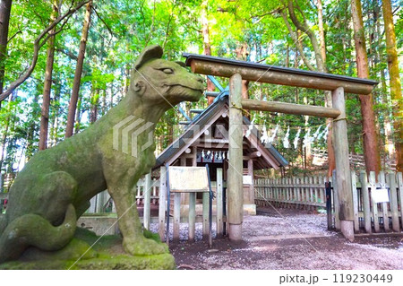 宝登山 奥宮 オオカミ 境内 山頂 寳登山神社 宝登山神社 宝登山 奥宮 オオカミ 境内 山頂 寳登山神社 宝登山神社 119230449