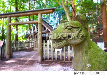宝登山 奥宮 オオカミ 境内 山頂 寳登山神社 宝登山神社 宝登山 奥宮 オオカミ 境内 山頂 寳登山神社 宝登山神社 119230450
