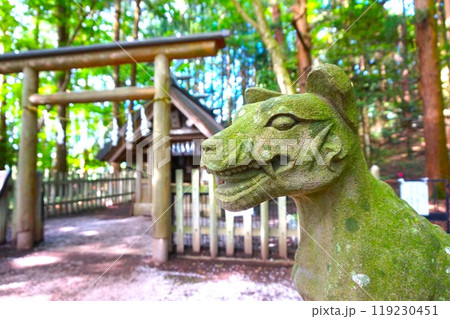 宝登山 奥宮 オオカミ 境内 山頂 寳登山神社 宝登山神社 宝登山 奥宮 オオカミ 境内 山頂 寳登山神社 宝登山神社 119230451