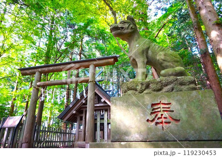宝登山 奥宮 オオカミ 境内 山頂 寳登山神社 宝登山神社 宝登山 奥宮 オオカミ 境内 山頂 寳登山神社 宝登山神社 119230453