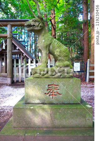 宝登山 奥宮 オオカミ 境内 山頂 寳登山神社 宝登山神社 宝登山 奥宮 オオカミ 境内 山頂 寳登山神社 宝登山神社 119230456