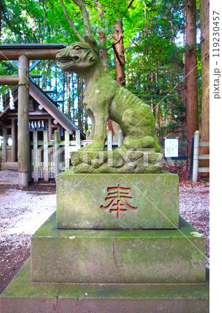 宝登山　奥宮　オオカミ　境内　山頂　寳登山神社　宝登山神社 119230457