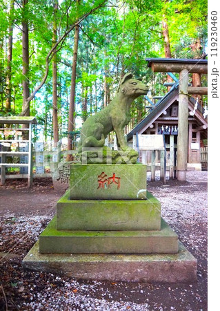 宝登山　奥宮　オオカミ　境内　山頂　寳登山神社　宝登山神社 119230460