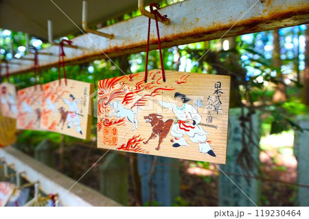 宝登山 奥宮 絵馬 日本武尊 山頂 寳登山神社 宝登山神社 宝登山 奥宮 絵馬 日本武尊 山頂 寳登山神社 宝登山神社 119230464