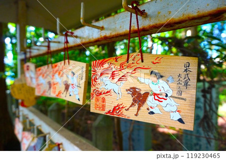 宝登山 奥宮 絵馬 日本武尊 山頂 寳登山神社 宝登山神社 宝登山 奥宮 絵馬 日本武尊 山頂 寳登山神社 宝登山神社 119230465