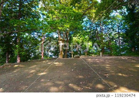 宝登山 奥宮 山頂 寳登山神社 宝登山神社 宝登山 奥宮 山頂 寳登山神社 宝登山神社 119230474