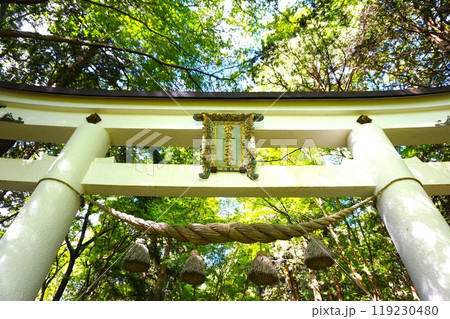 宝登山 奥宮 鳥居 山頂 寳登山神社 宝登山神社 宝登山 奥宮 鳥居 山頂 寳登山神社 宝登山神社 119230480