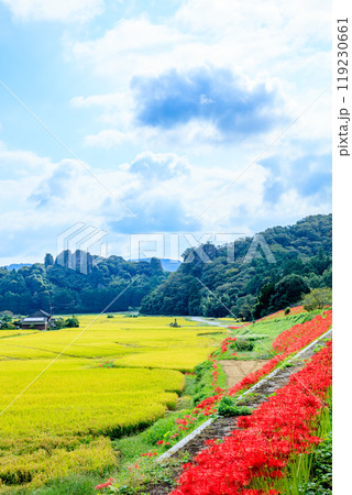 彼岸花と初秋の田染荘　大分県豊後高田市 119230661