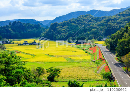 彼岸花と初秋の田染荘 大分県豊後高田市 彼岸花と初秋の田染荘 大分県豊後高田市 119230662