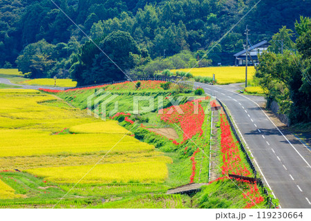 彼岸花と初秋の田染荘　大分県豊後高田市 119230664