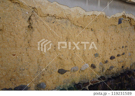 富田林寺内町 富田林寺内町 119231589