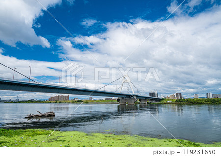 豊里大橋 大阪市 豊里大橋 大阪市 119231650