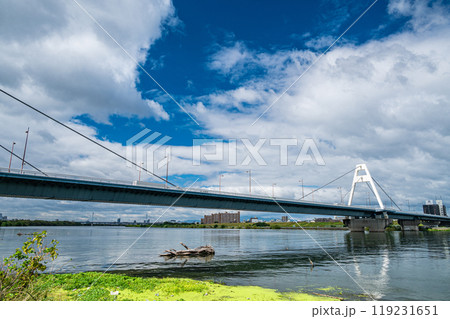 豊里大橋 大阪市 豊里大橋 大阪市 119231651