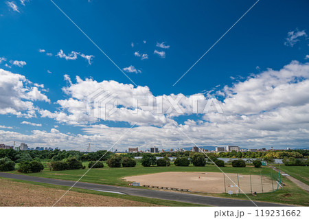 淀川風景 淀川河川公園の野球場 大阪市 淀川風景 淀川河川公園の野球場 大阪市 119231662