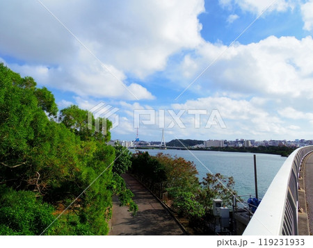漫湖(沖縄県那覇市) 漫湖(沖縄県那覇市) 119231933