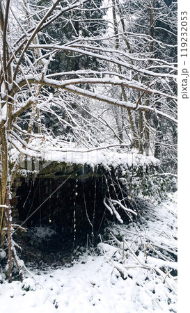 bridge in the winter forest with icicles 119232053