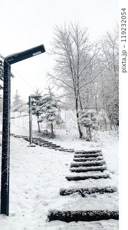 lanterns and a path in a snowy park lanterns and a path in a snowy park 119232054