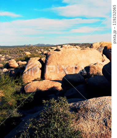 Film Image Sonora Desert Arizona Film Image Sonora Desert Arizona 119232065
