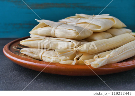 メキシコ料理 タマレス メキシコ料理 タマレス 119232445