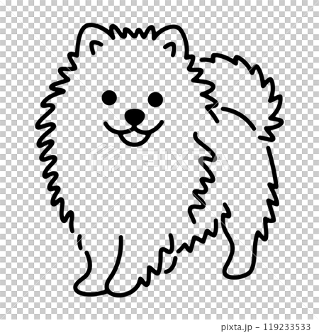 Cute Pomeranian puppy hand drawn line illustration, cut out on transparent background Cute Pomeranian puppy hand drawn line illustration, cut out on transparent background 119233533