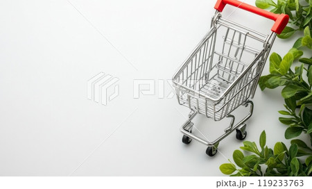 Empty shopping cart on white background with green plants Empty shopping cart on white background with green plants 119233763