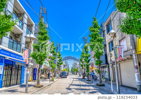 東京都世田谷区の都市風景　尾山台駅 119234033