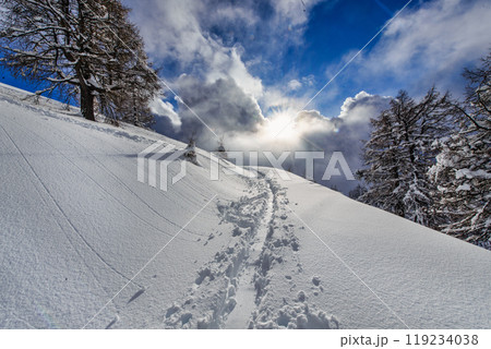 Ski trace in the fresh snow Ski trace in the fresh snow 119234038