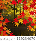 秋の色鮮やかな紅葉 119234070