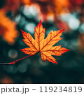 Vibrant autumn maple leaf with rich red-orange hues and visible vein texture 119234819