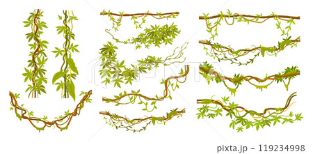 Liana plants. Tropical climbing creepers branches with moss, rainforest flora flat vector illustration set. Cartoon jungle liana vines on white 119234998