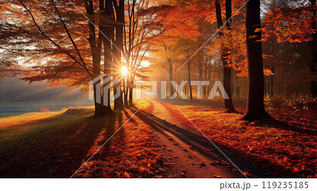 Sunny autumn day in the forest 119235185