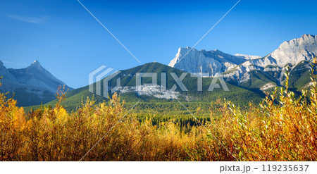 Beautiful scenery of the Canadian Rockies in autumn morning. Rocky Mountains forest in yellow and green color. Canmore, Alberta, Canada. 119235637