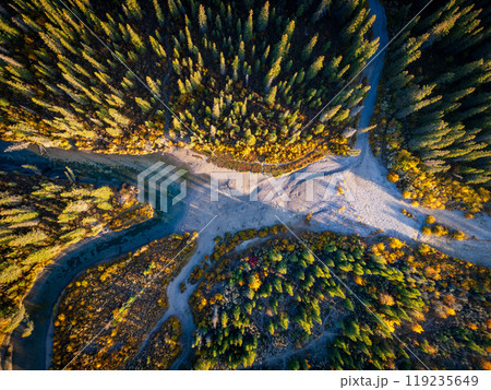Green fir trees forest and dry river valley in autumn morning. Aerial view, directly above top view background. Healthy environment and ecosystem concept. Green fir trees forest and dry river valley in autumn morning. Aerial view, directly above top view background. Healthy environment and ecosystem concept. 119235649
