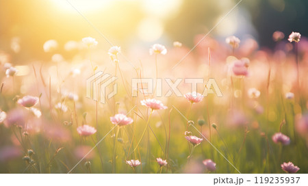 Wildflower meadow under blue sky on a sunny day 119235937