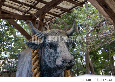 石切劔箭神社上之社 牛像(2024年9月撮影) 石切劔箭神社上之社 牛像(2024年9月撮影) 119236038