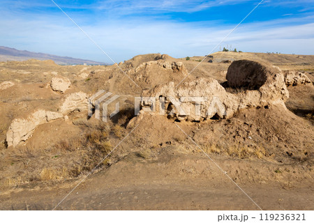 Ancient Penjikent ruins aerial panoramic view, Tajikistan 119236321