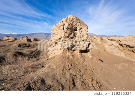 Ancient Penjikent ruins aerial panoramic view, Tajikistan 119236324